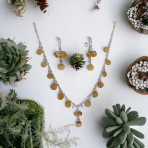 Collar de ámbar de rueda con aretes
